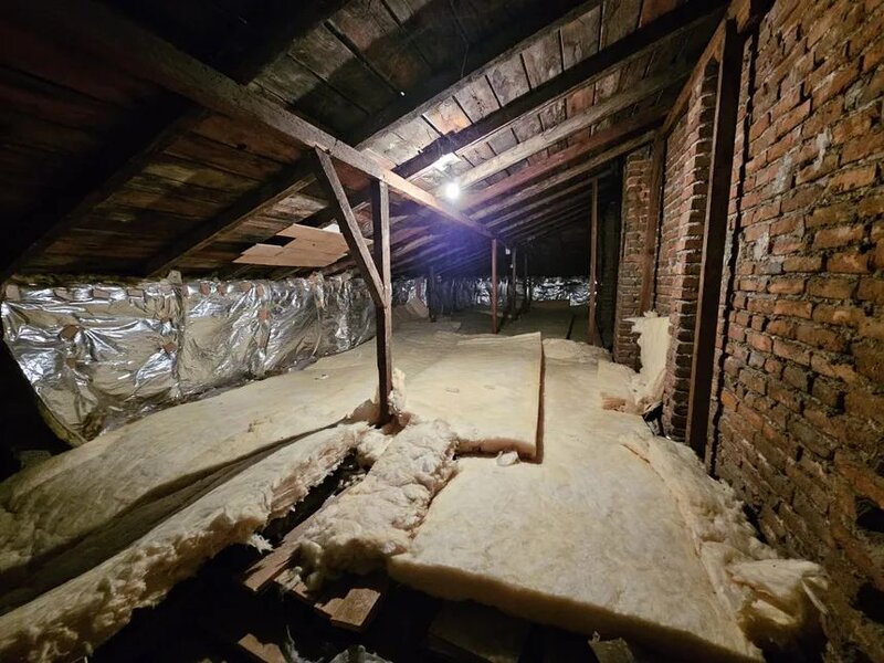 Vanzatoare zona Magurele.